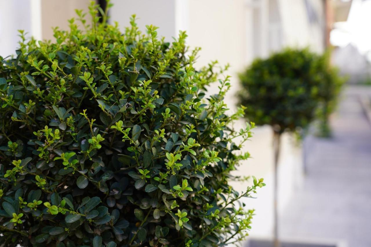 4Rooms B&B - Holiday Home Lamezia Terme Exterior foto